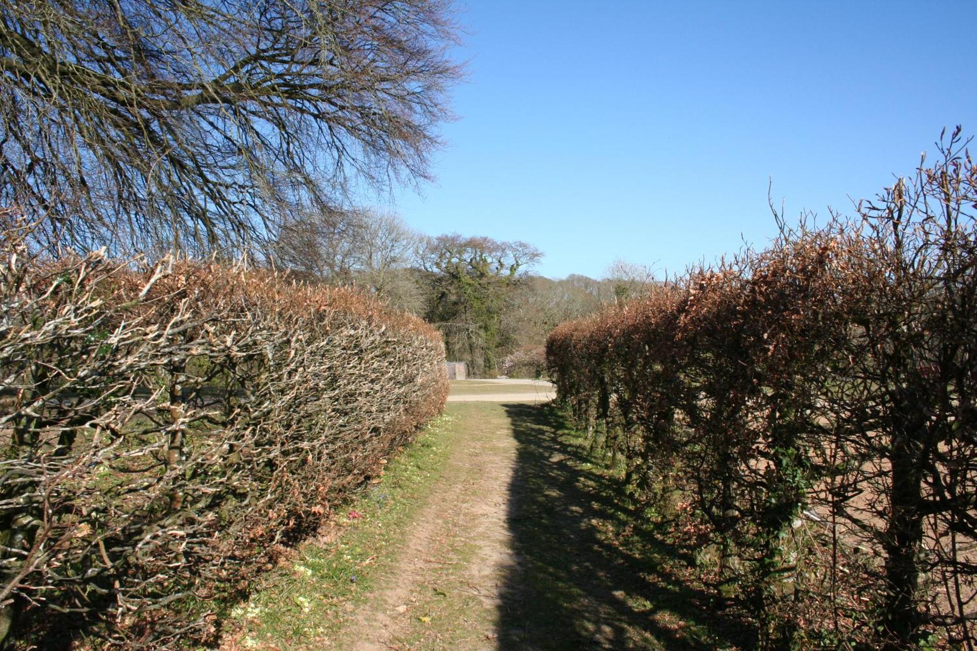 Great Trethew Manor Hotel & Self Catering Lodges Liskeard Exteriér fotografie
